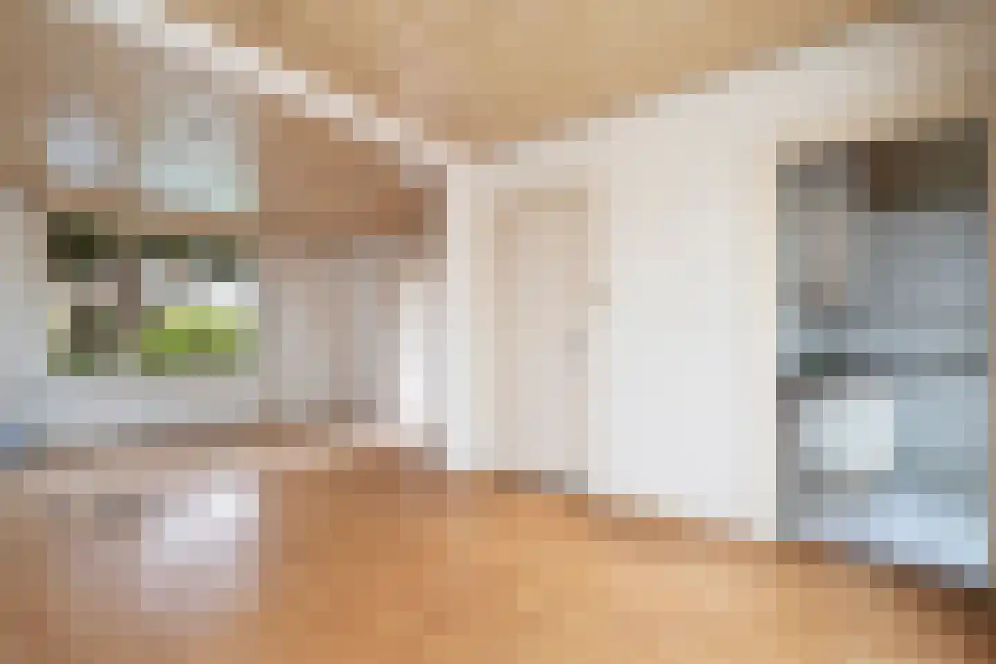 Piet Moeskopsstraat 6 Den Haag thumbnail 8