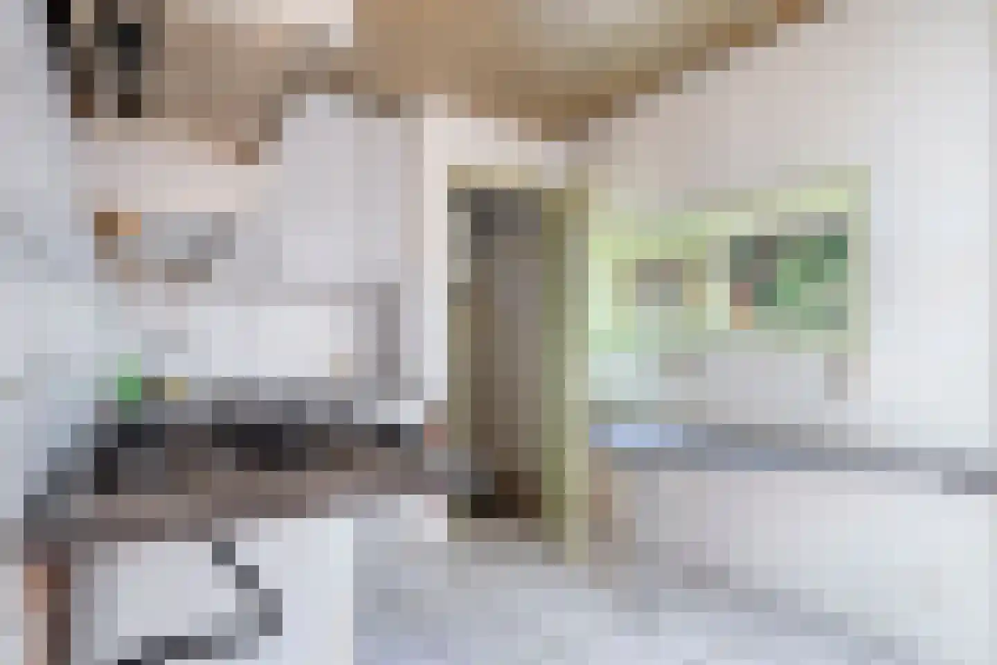 Piet Moeskopsstraat 6 Den Haag thumbnail 9