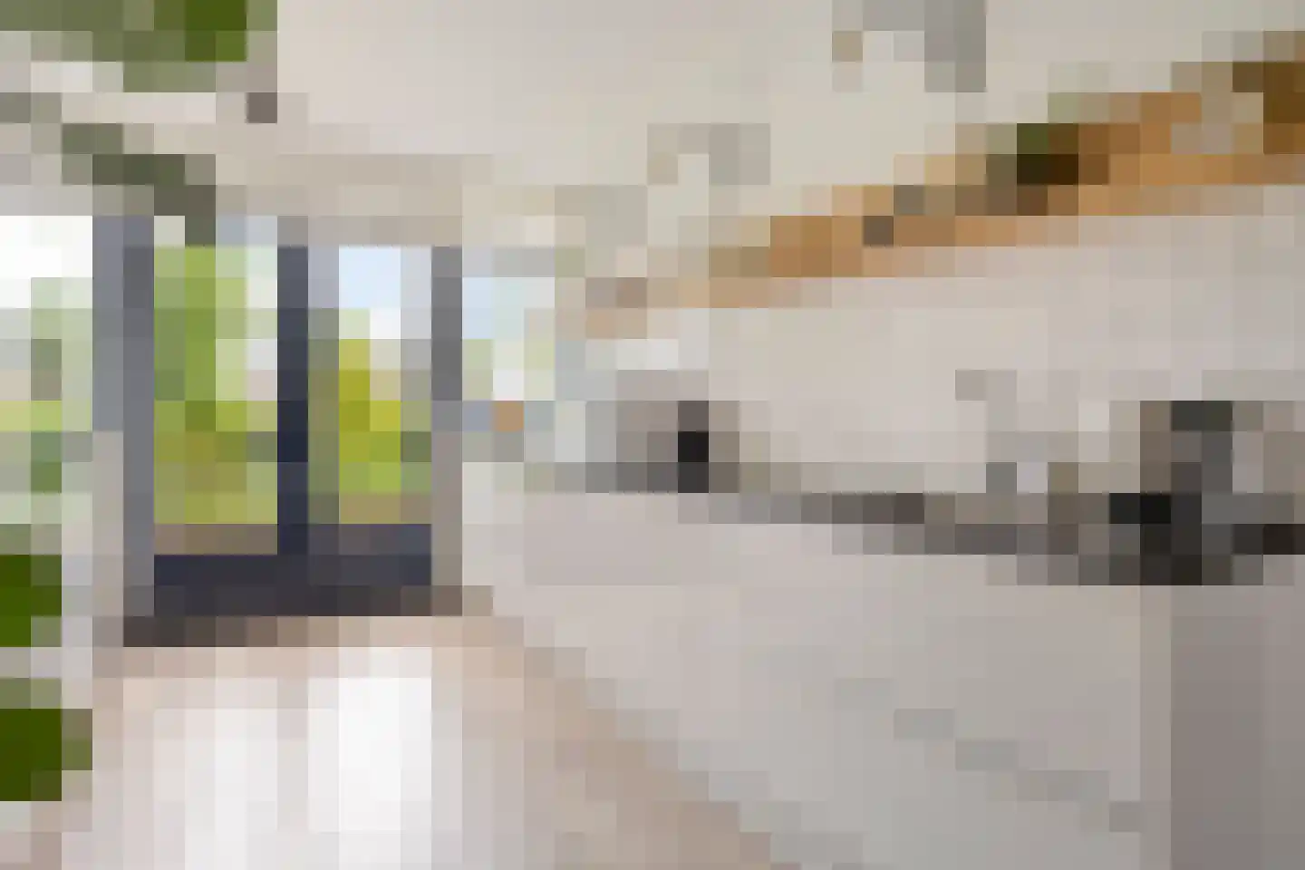 Piet Mondriaan Allee 26 Rhoon thumbnail 18