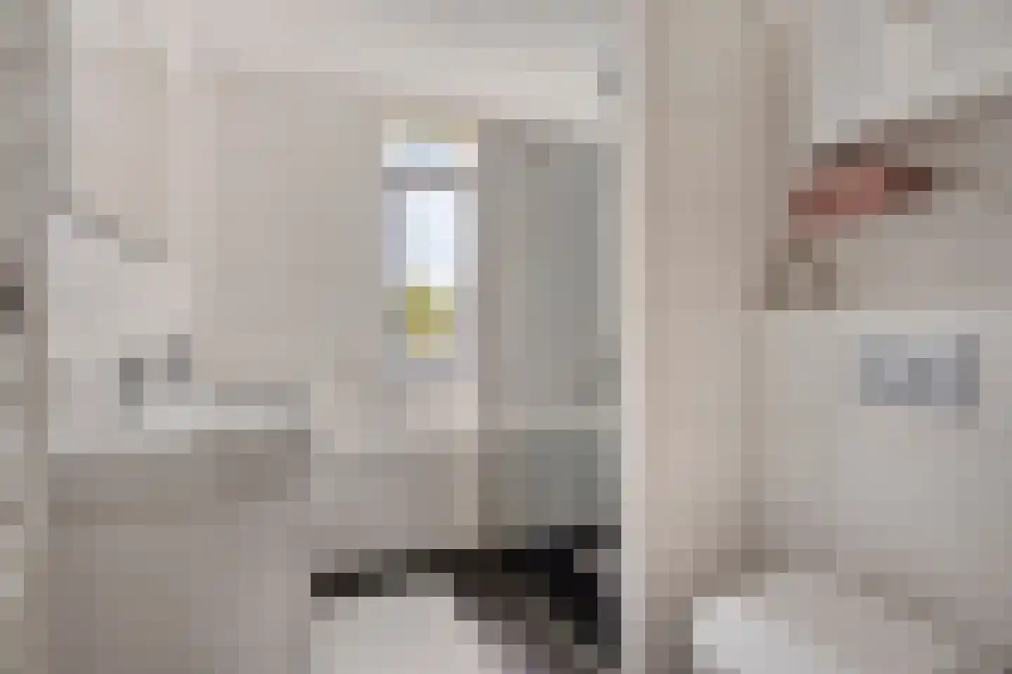 Piet Mondriaan Allee 26 Rhoon thumbnail 27