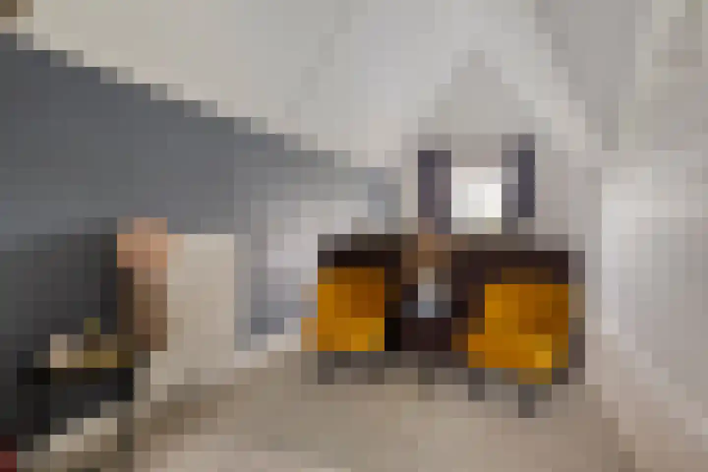 Piet Mondriaan Allee 26 Rhoon thumbnail 32