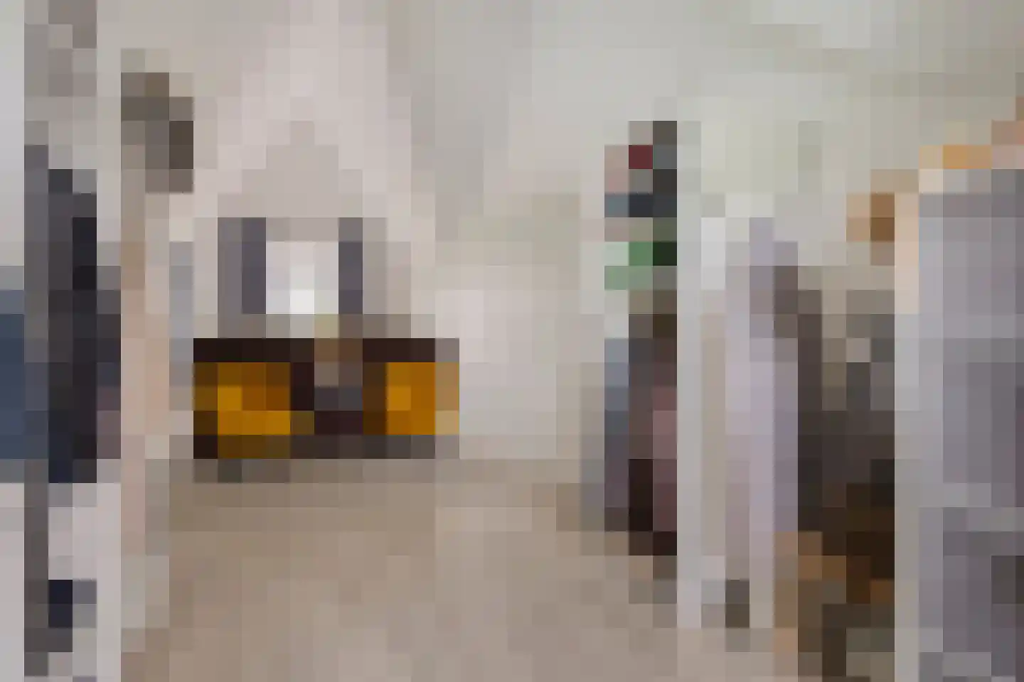Piet Mondriaan Allee 26 Rhoon thumbnail 33