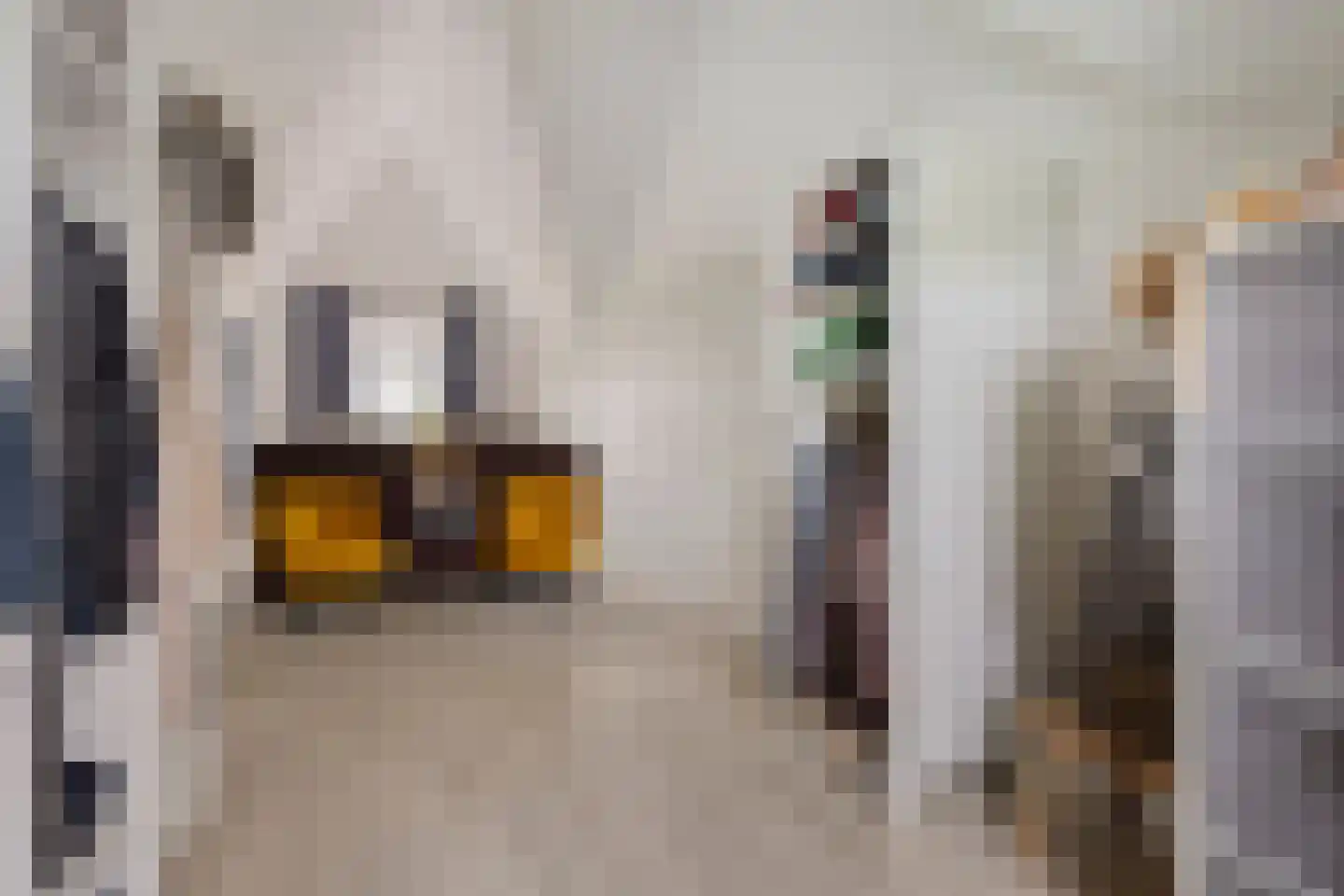 Piet Mondriaan Allee 26 Rhoon thumbnail 35
