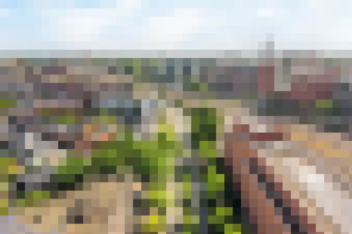 Piet Mondriaanlaan 121 Amersfoort thumbnail 38