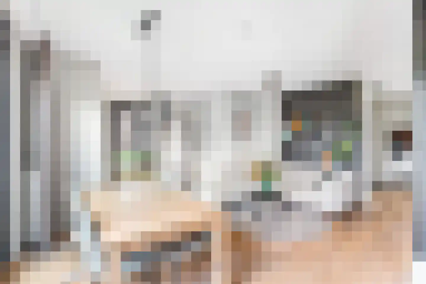 Piet Mondriaanlaan 121 Amersfoort thumbnail 4