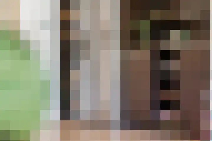 Piet Mondriaanlaan 123 J Amersfoort thumbnail 10