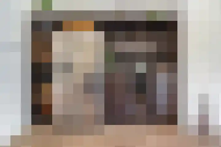 Piet Mondriaanlaan 123 J Amersfoort thumbnail 11