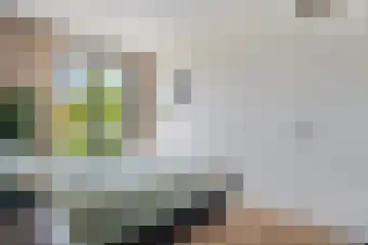 Piet Mondriaanlaan 123 J Amersfoort thumbnail 17