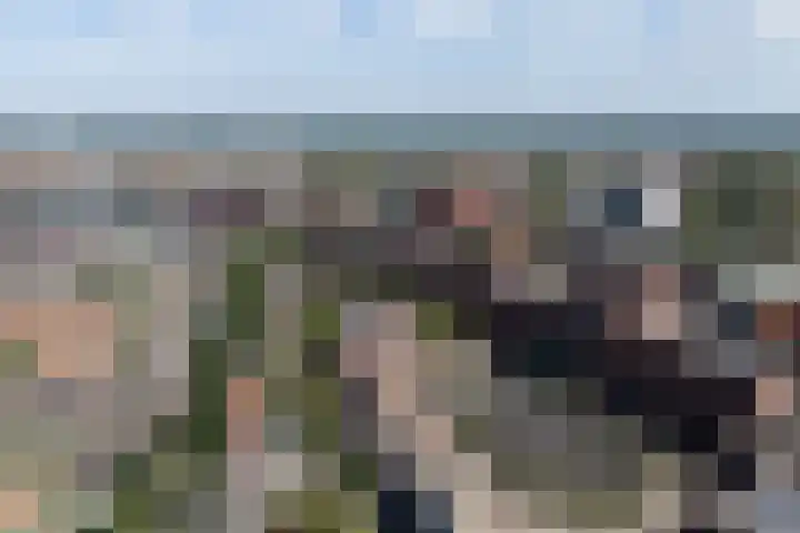 Piet Mondriaanlaan 123 J Amersfoort thumbnail 28