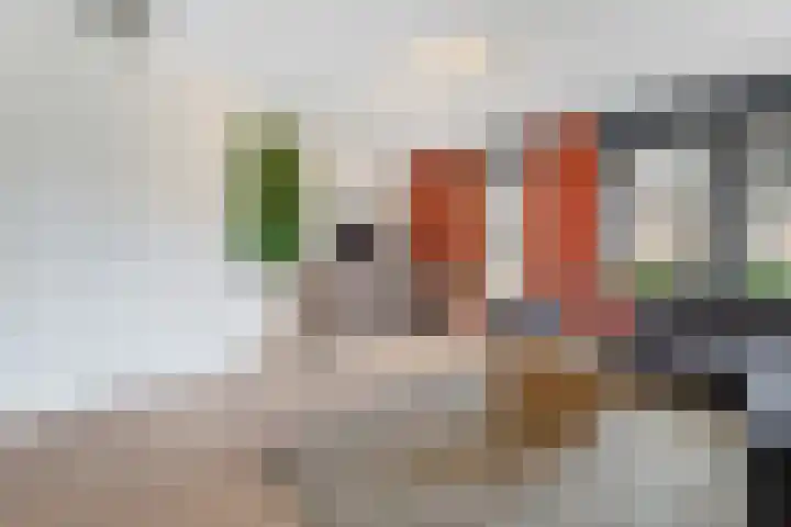 Piet Mondriaanlaan 123 J Amersfoort thumbnail 6