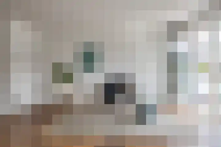Piet Mondriaanlaan 127 E Amersfoort thumbnail 10