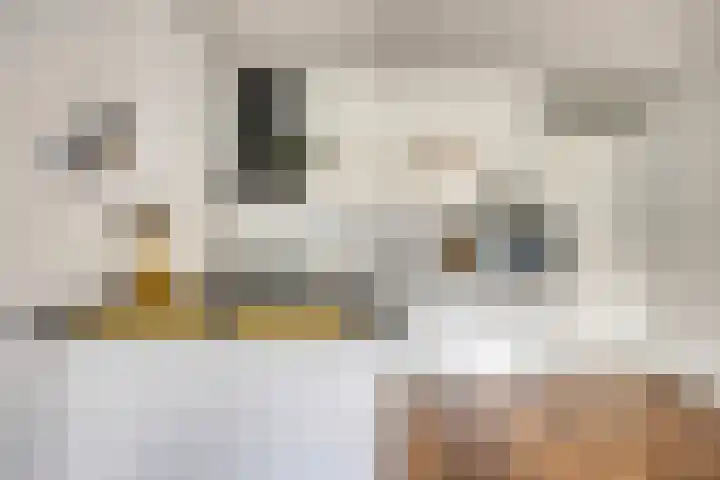 Piet Mondriaanlaan 127 E Amersfoort thumbnail 13