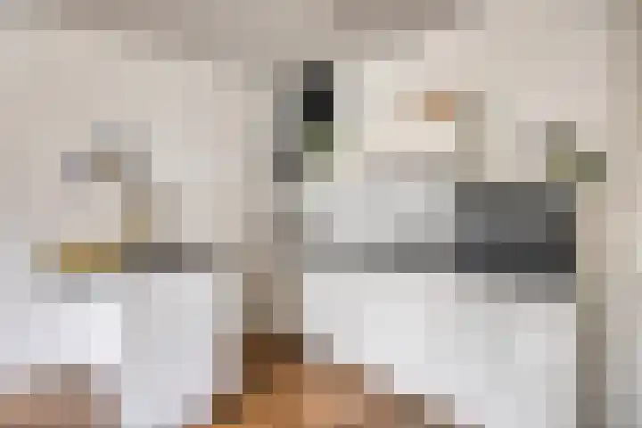 Piet Mondriaanlaan 127 E Amersfoort thumbnail 14