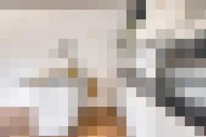 Piet Mondriaanlaan 127 E Amersfoort thumbnail 15