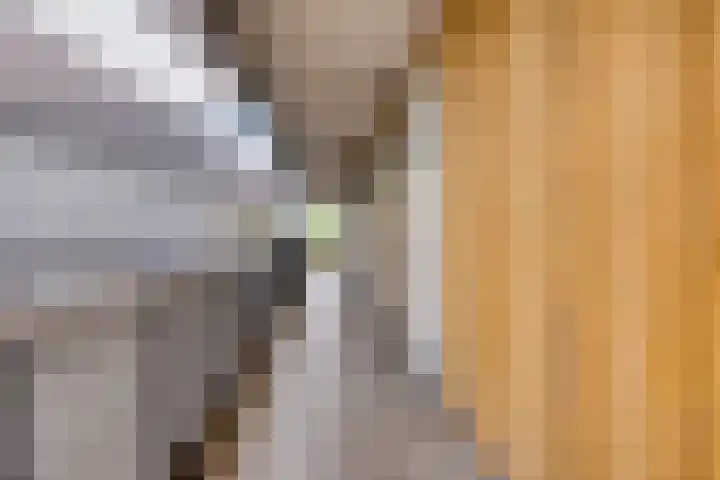Piet Mondriaanlaan 127 E Amersfoort thumbnail 5