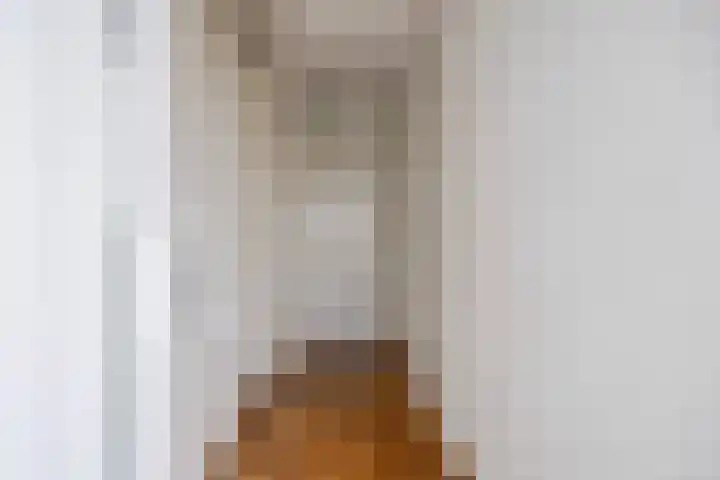 Piet Mondriaanlaan 127 E Amersfoort thumbnail 8