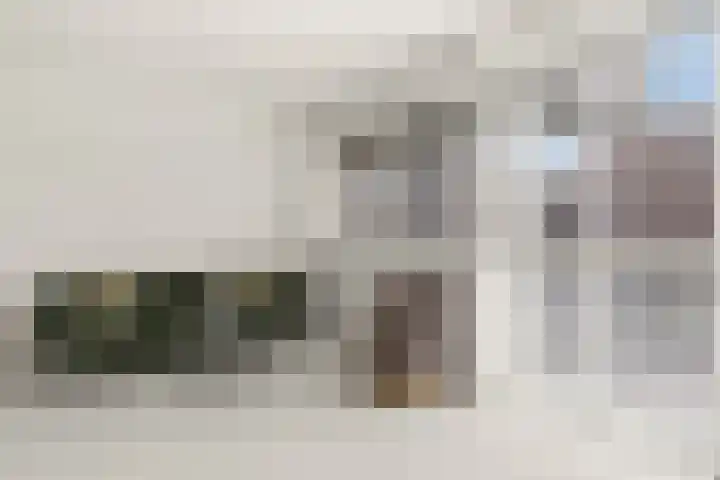 Piet Mondriaanlaan 129 C Amersfoort thumbnail 14