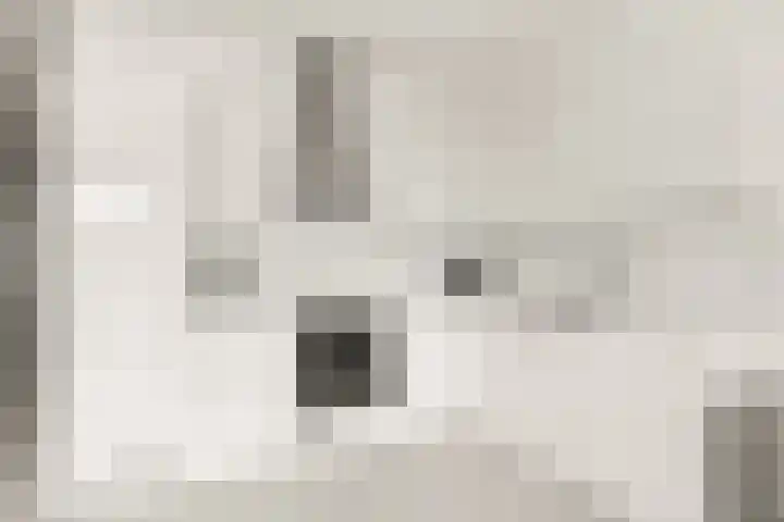 Piet Mondriaanlaan 129 C Amersfoort thumbnail 22