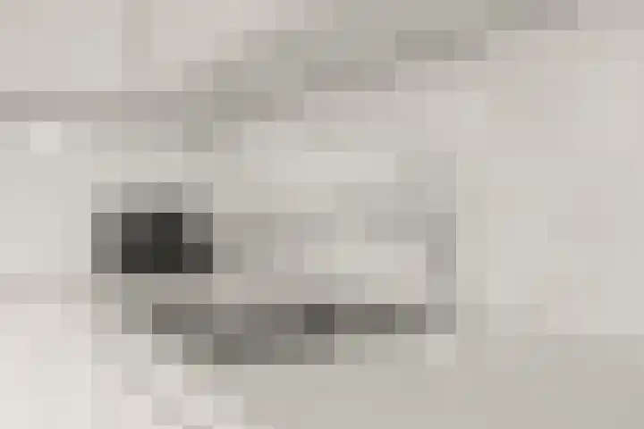 Piet Mondriaanlaan 129 C Amersfoort thumbnail 23