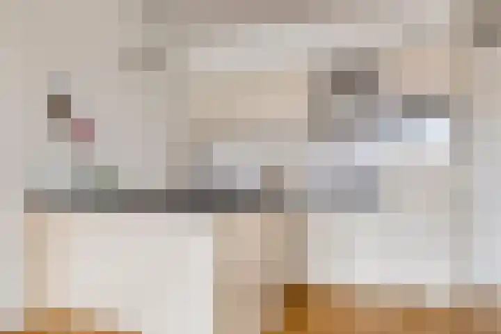 Piet Mondriaanlaan 129 H Amersfoort thumbnail 12