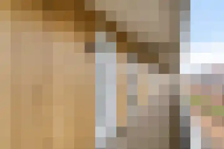 Piet Mondriaanlaan 129 H Amersfoort thumbnail 6