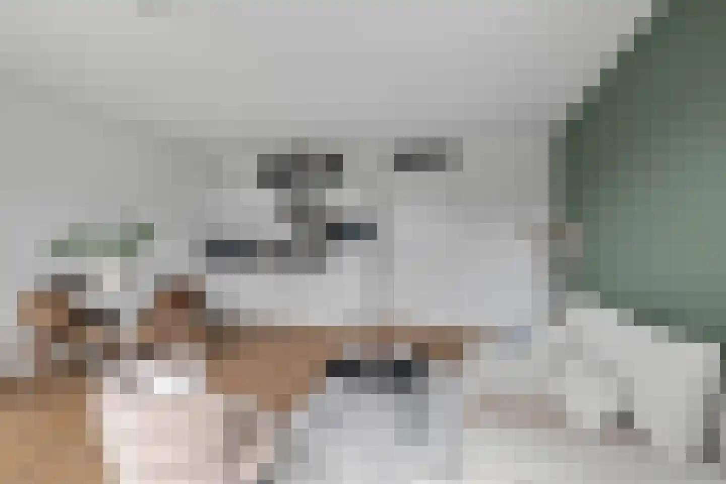 Piet Mondriaanlaan 131 E Amersfoort thumbnail 16