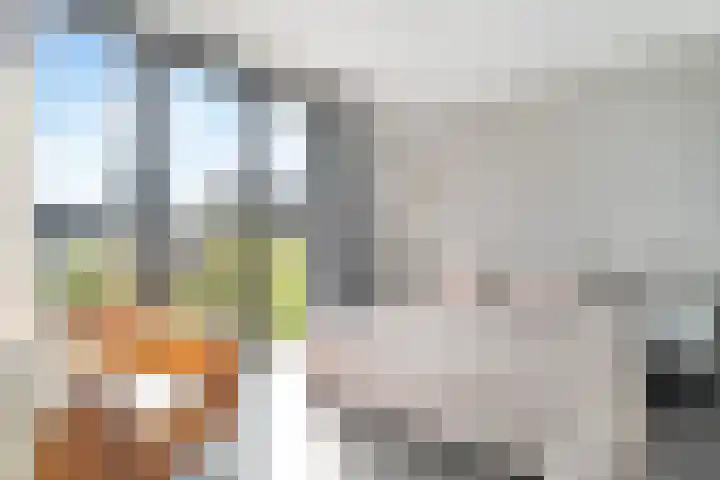 Piet Mondriaanlaan 151 Amersfoort thumbnail 18
