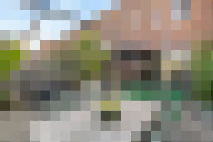 Piet Mondriaanlaan 151 Amersfoort thumbnail 24