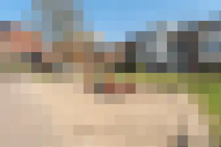 Piet Mondriaanlaan 151 Amersfoort thumbnail 30