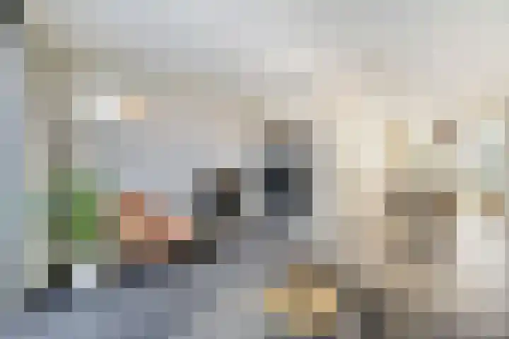 Piet Mondriaanlaan 151 Amersfoort thumbnail 4
