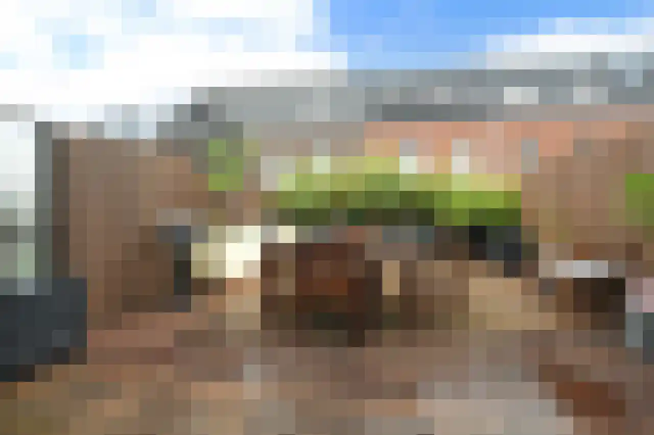 Piet Mondriaanlaan 163 Amersfoort thumbnail 6