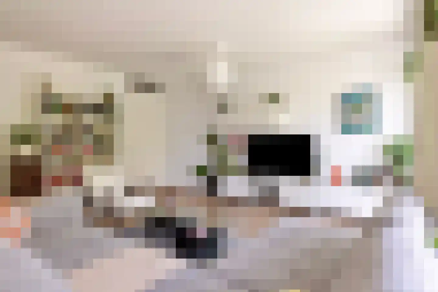 Piet Mondriaanlaan 207 Amersfoort thumbnail 10