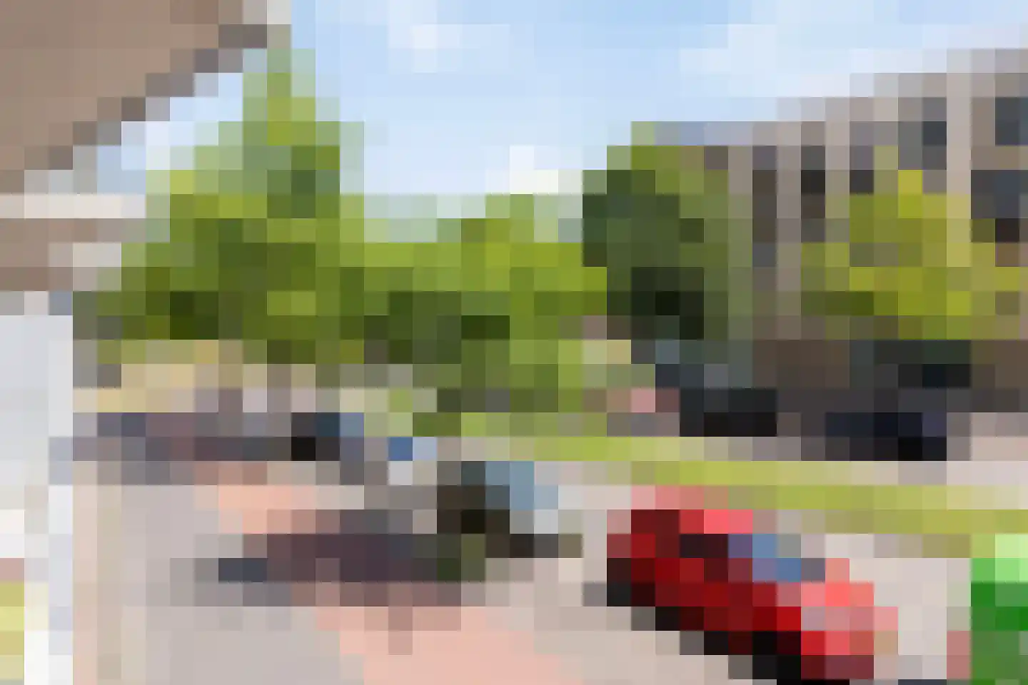 Piet Mondriaanlaan 207 Amersfoort thumbnail 20