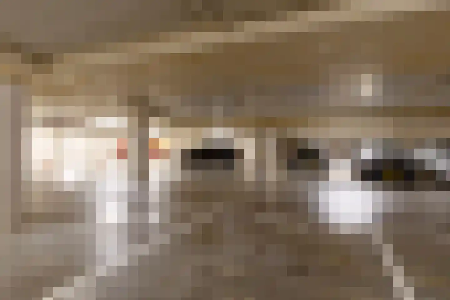 Piet Mondriaanlaan 207 Amersfoort thumbnail 27