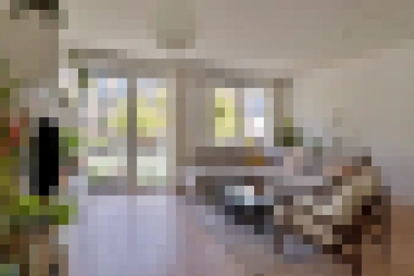 Piet Mondriaanlaan 207 Amersfoort thumbnail 7
