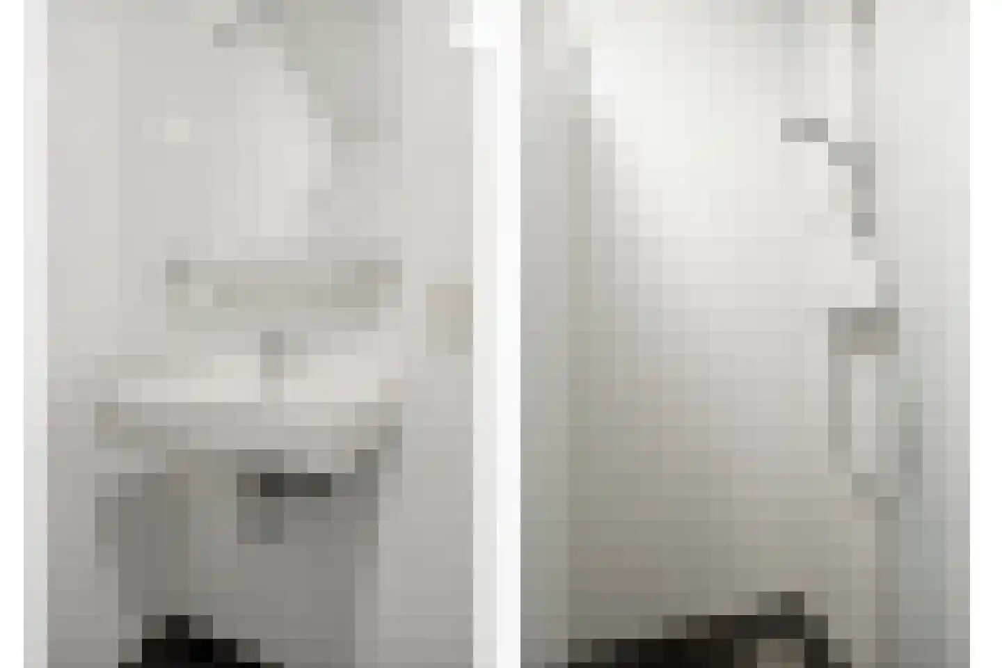 Piet Mondriaanlaan 209 Amersfoort thumbnail 20