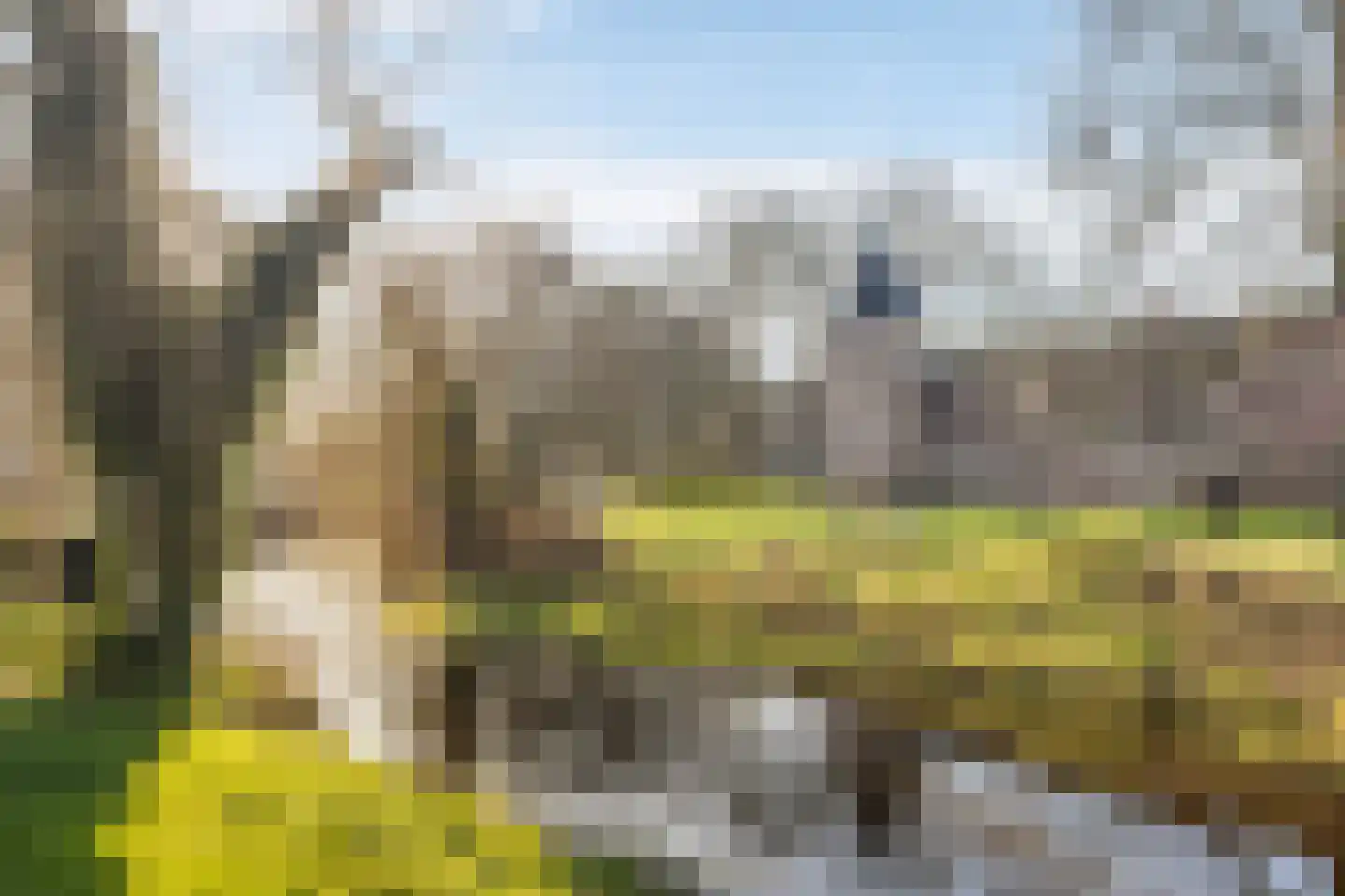 Piet Mondriaanlaan 209 Amersfoort thumbnail 28