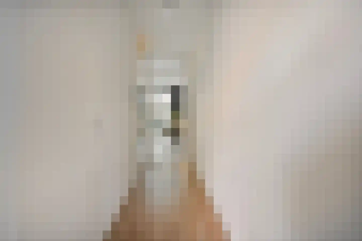 Piet Mondriaanlaan 209 Amersfoort thumbnail 5
