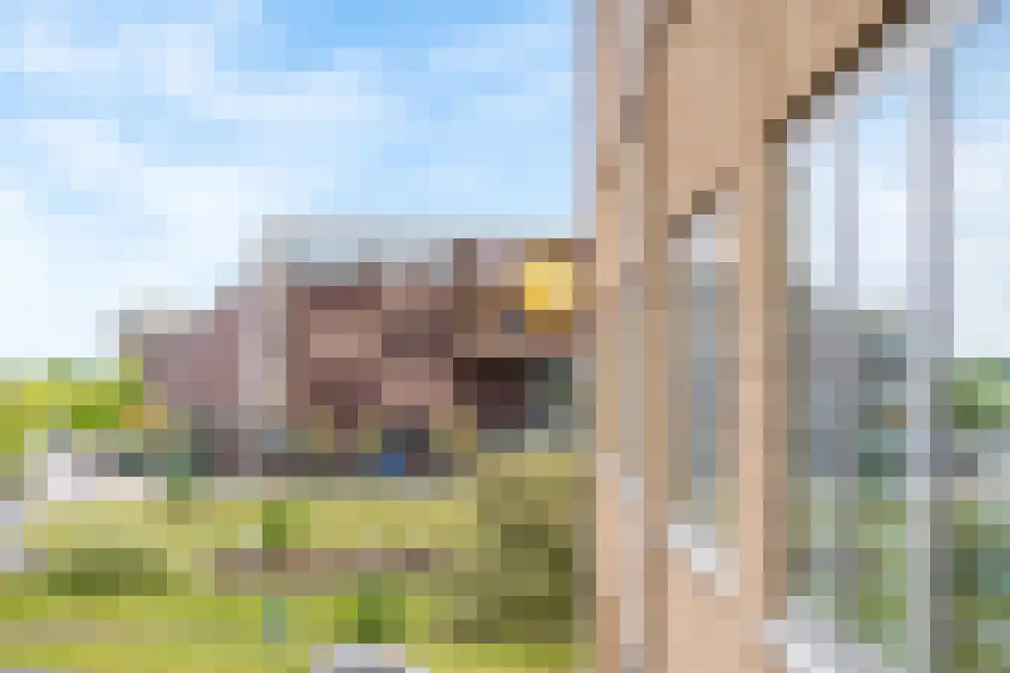 Piet Mondriaanlaan 225 Amersfoort thumbnail 10