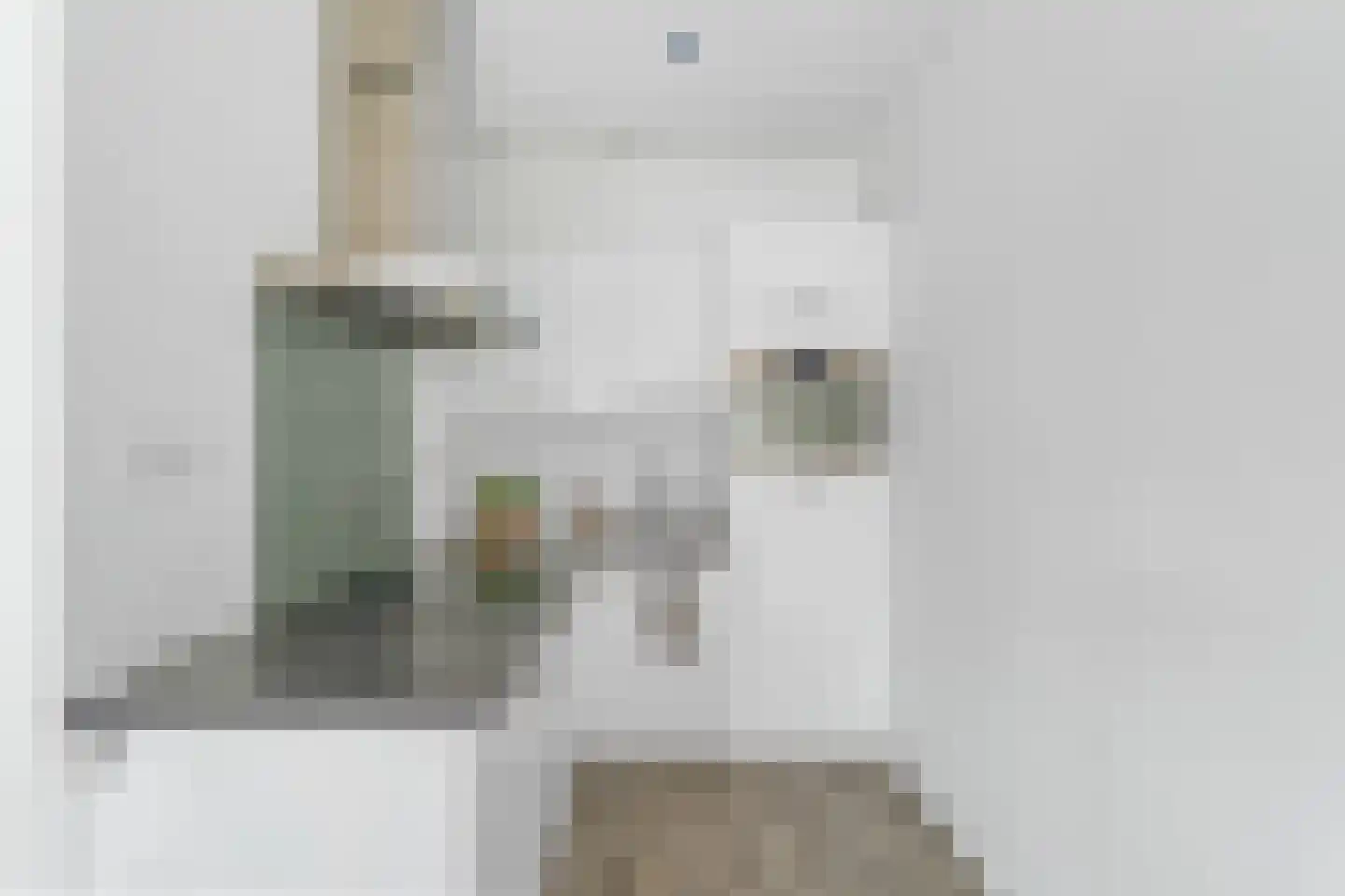 Piet Mondriaanlaan 225 Amersfoort thumbnail 15