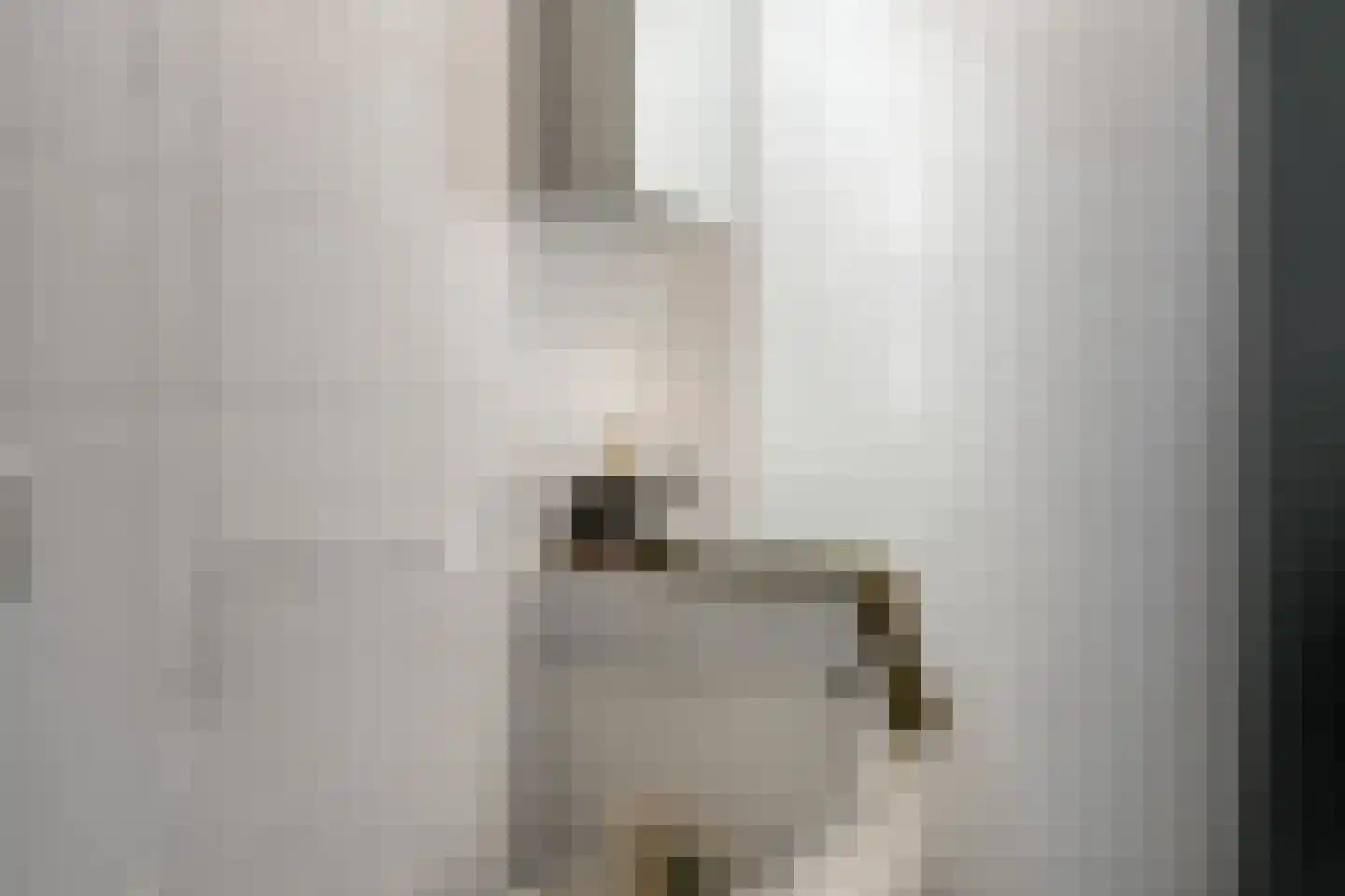 Piet Mondriaanlaan 225 Amersfoort thumbnail 22
