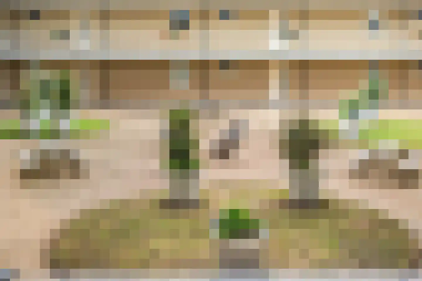 Piet Mondriaanlaan 225 Amersfoort thumbnail 25