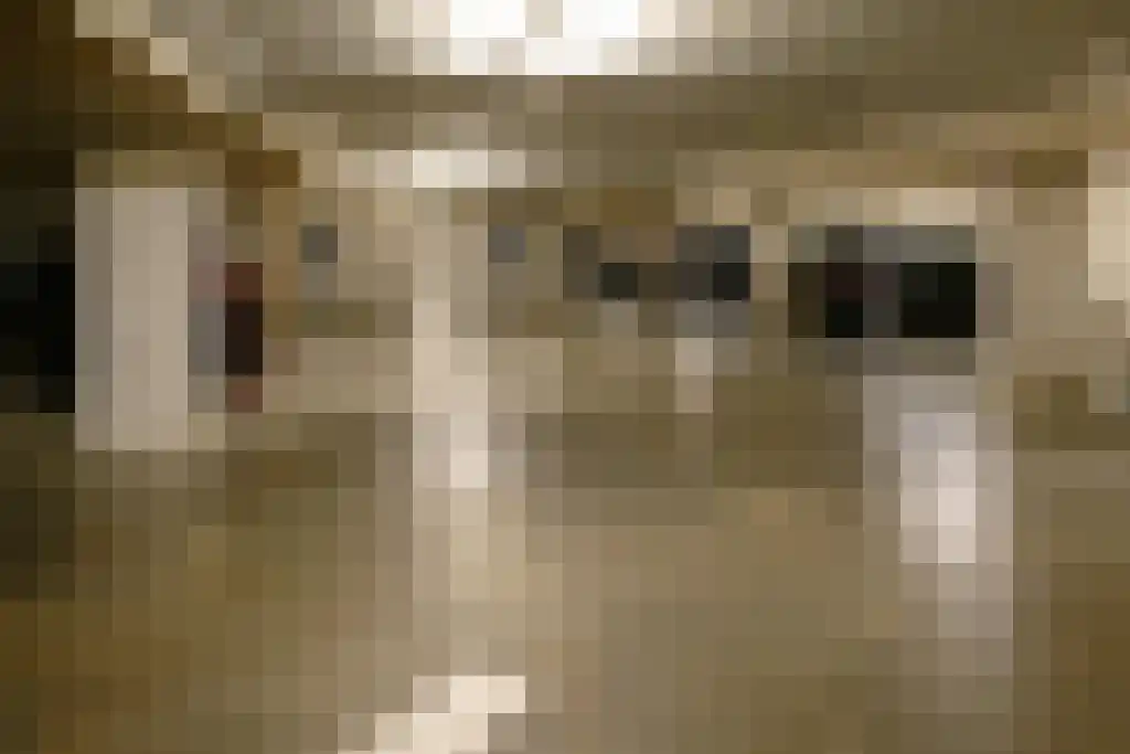 Piet Mondriaanlaan 225 Amersfoort thumbnail 27