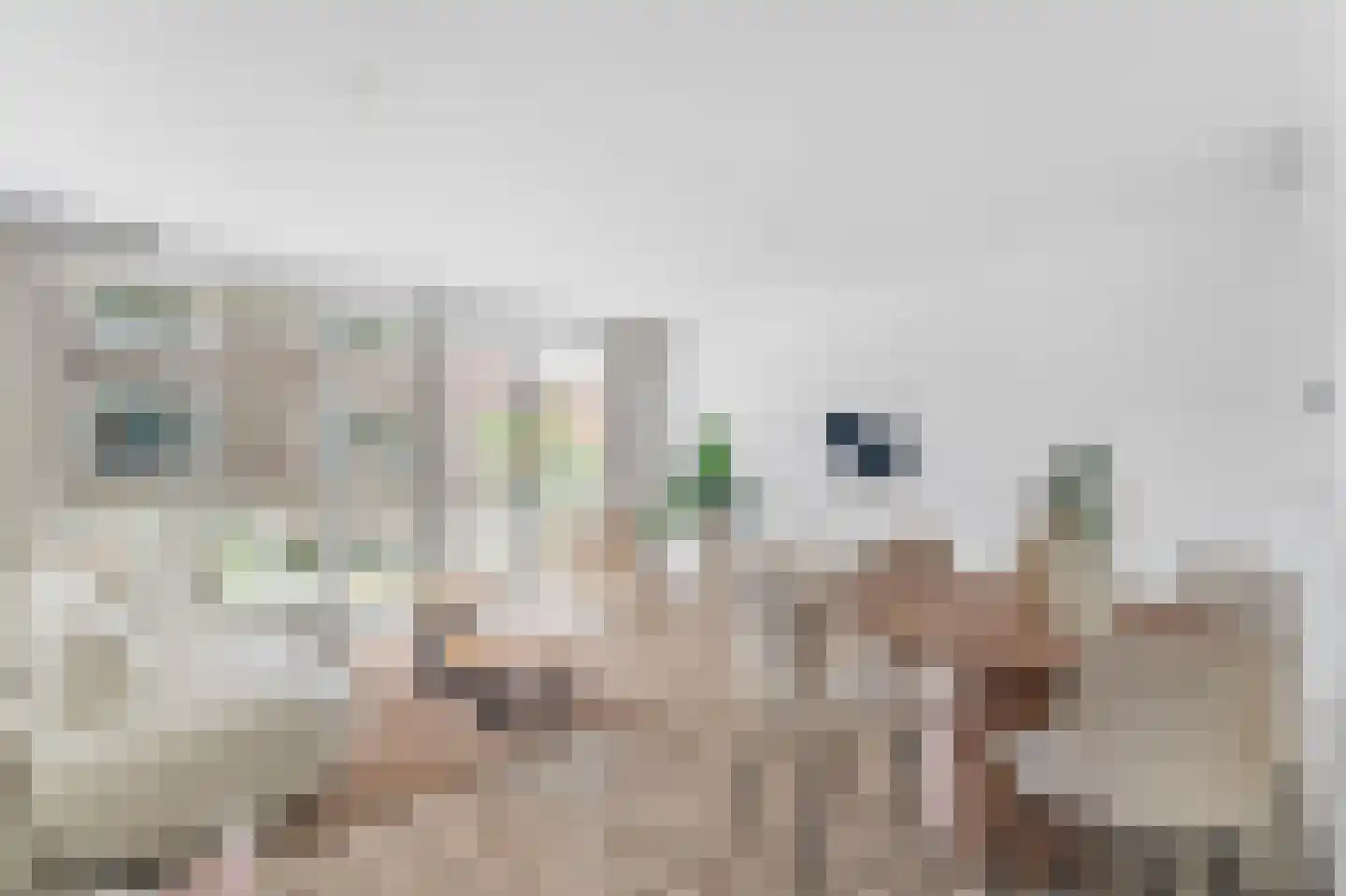 Piet Mondriaanlaan 225 Amersfoort thumbnail 7