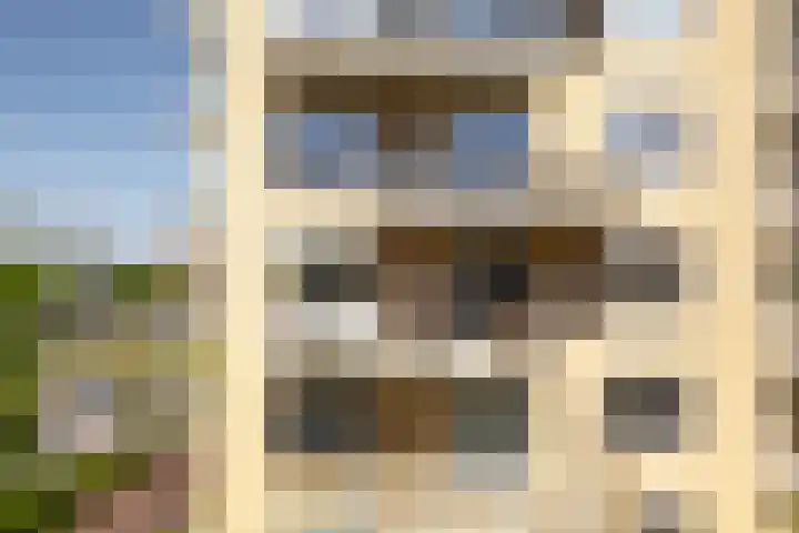 Piet Mondriaanlaan 259 Amersfoort thumbnail 24