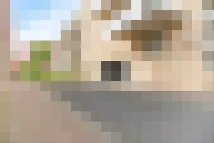 Piet Mondriaanlaan 259 Amersfoort thumbnail 26