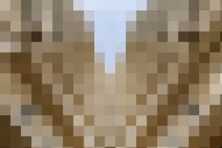 Piet Mondriaanlaan 259 Amersfoort thumbnail 27