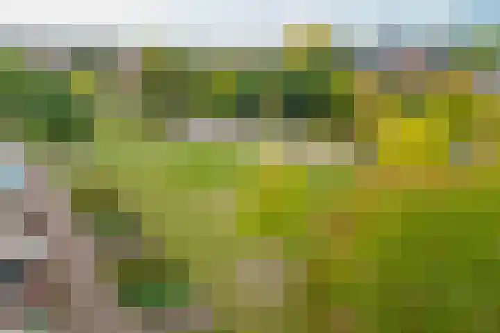 Piet Mondriaanlaan 259 Amersfoort thumbnail 29