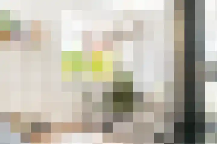 Piet Mondriaanlaan 259 Amersfoort thumbnail 4