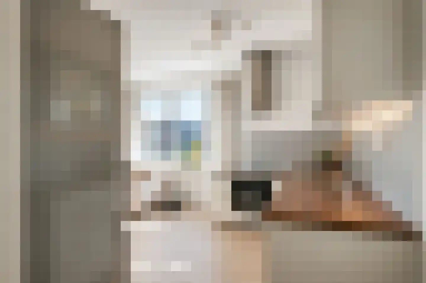 Piet Mondriaanlaan 267 Amersfoort thumbnail 13